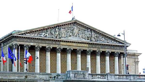 Quốc hội Pháp - Sputnik Việt Nam
