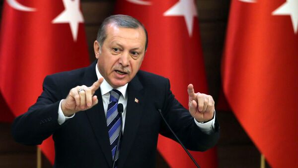 Tổng thống Thổ Nhĩ Kỳ Tayyip Erdogan - Sputnik Việt Nam
