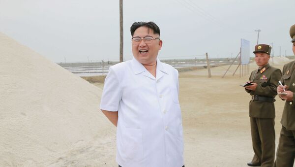 Kim Jong-un - Sputnik Việt Nam