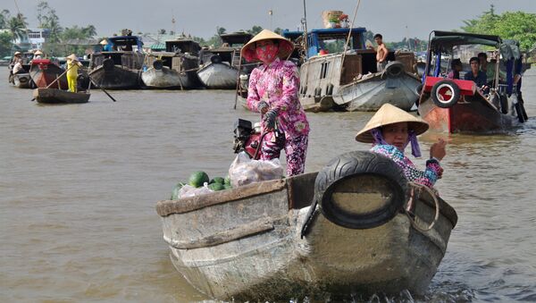 sông Cửu Long  - Sputnik Việt Nam