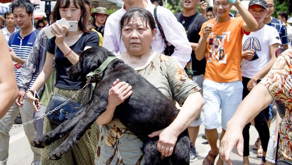 Trung Quốc: Nộp tiền chuộc để cứu chó khỏi bị ăn thịt trong lễ hội - Sputnik Việt Nam