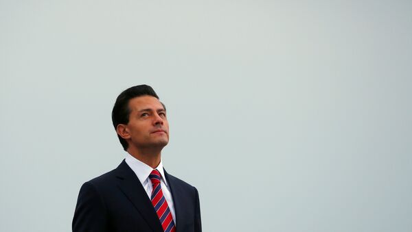 Tổng thống Mexico Enrique Pena Nieto - Sputnik Việt Nam