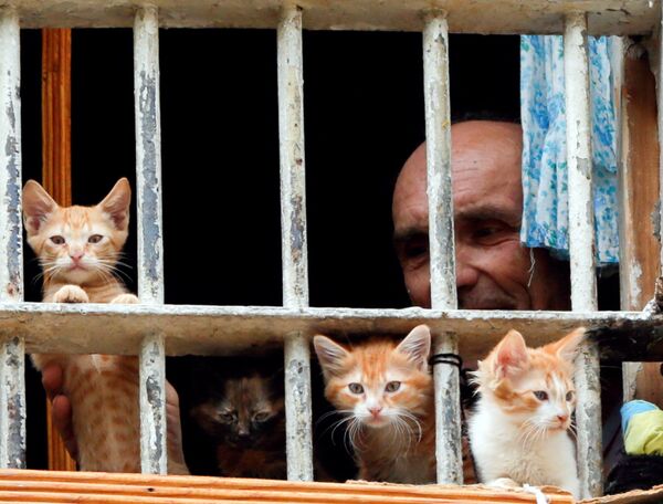 Tù nhân nhìn ra từ phòng giam ở nhà tù Kiev - Sputnik Việt Nam