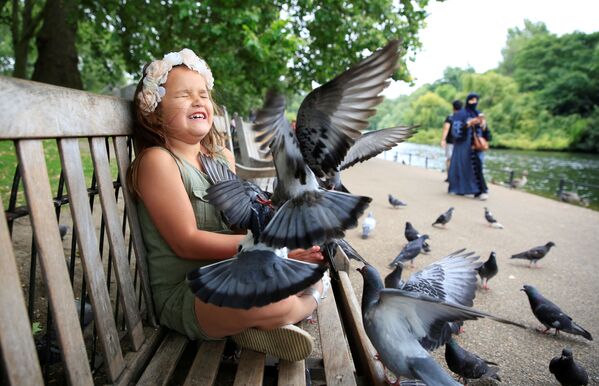 Cô gái cho chim bồ câu ăn ở công viên, London - Sputnik Việt Nam
