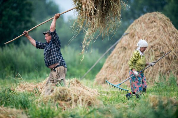 Dân làng Bobrovka vùng Omsk trong mùa phơi cỏ - Sputnik Việt Nam