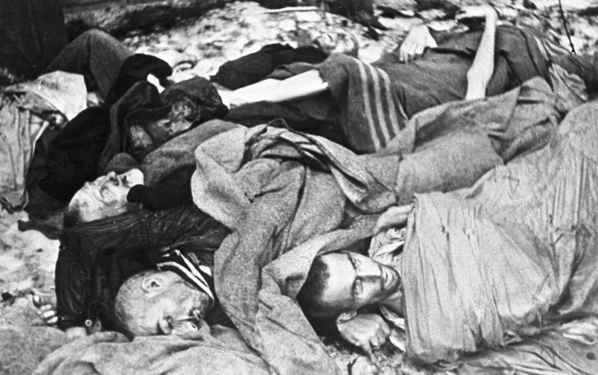 Các tù nhân đã bị tra tấn trong trại tập trung Auschwitz - Sputnik Việt Nam, 1920, 11.04.2023