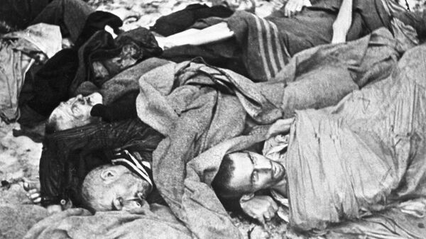 Các tù nhân đã bị tra tấn trong trại tập trung Auschwitz - Sputnik Việt Nam