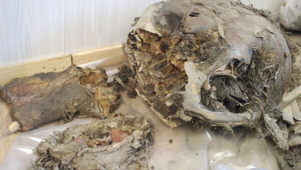 Phát hiện xương voi ma mút tại Siberia - Sputnik Việt Nam
