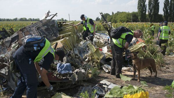 Chuyên gia Hà Lan, Australia và Malaysia điều tra vụ tai nạn của chuyến bay MH17 ở Ukraina - Sputnik Việt Nam