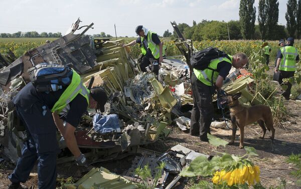 Chuyên gia Hà Lan, Australia và Malaysia điều tra vụ tai nạn của chuyến bay MH17 ở Ukraina - Sputnik Việt Nam