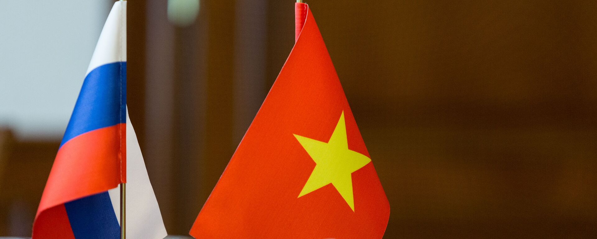 Quốc kỳ Việt Nam và Nga - Sputnik Việt Nam, 1920, 01.12.2021