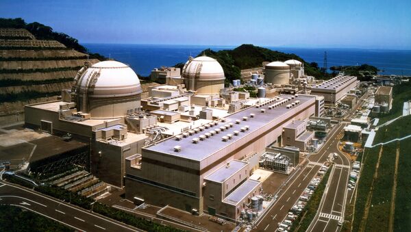 Nhà máy điện hạt nhân (Ohi, Nhật Bản) - Sputnik Việt Nam