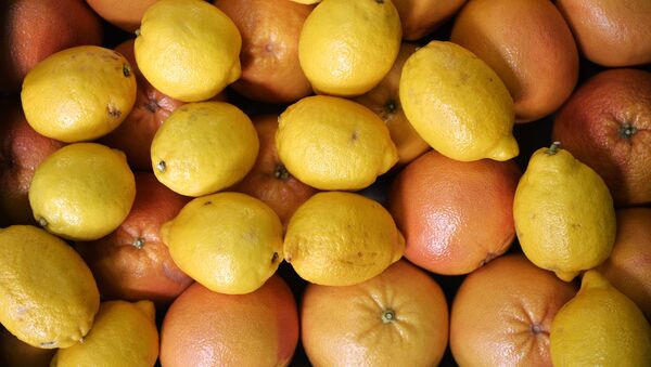 Syria bắt đầu xuất khẩu cam chanh vụ thu hoặc năm nay sang Nga - Sputnik Việt Nam