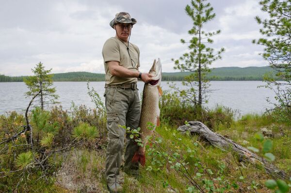 Tổng thống Nga Vladimir Putin trong một buổi câu cá ở khu vực Krasnoyarsk. - Sputnik Việt Nam