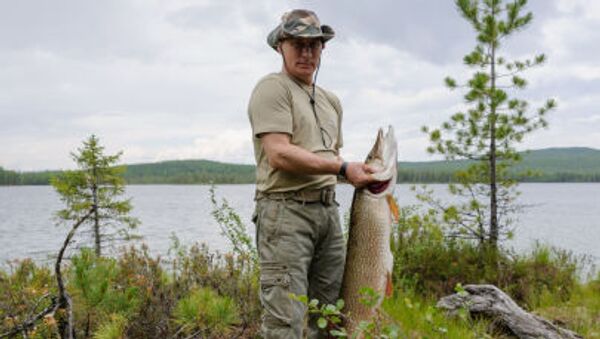 Tổng thống Nga Vladimir Putin trong một buổi câu cá ở khu vực Krasnoyarsk. - Sputnik Việt Nam