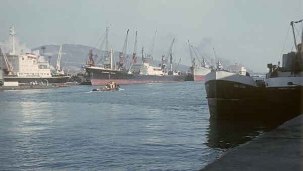 Thương cảng Novorossiysk - Sputnik Việt Nam