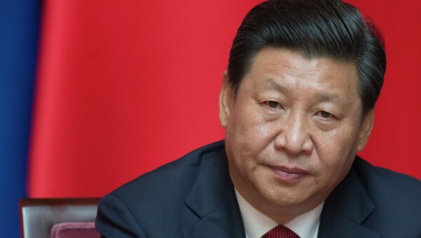 President Xi Jinping of the People's Republic of China - Sputnik Việt Nam