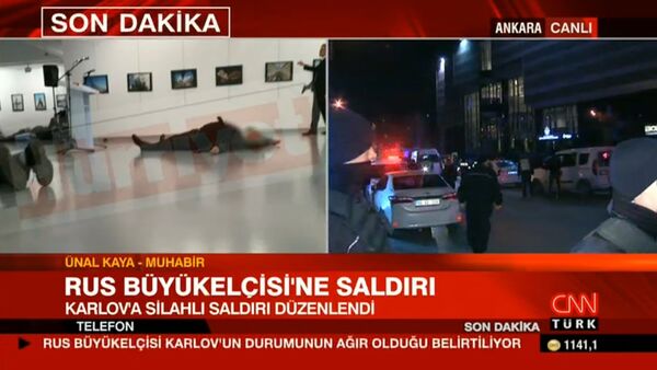 Đại sứ Nga tại Ankara bị tấn công Đại sứ Nga tại Ankara bị tấn công - Sputnik Việt Nam