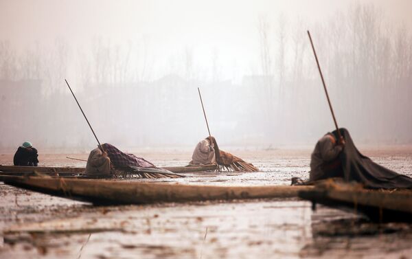 Ngư dân Kashmir đang chờ cá cắn câu bên hồ Manchar ở Srinagar - Sputnik Việt Nam