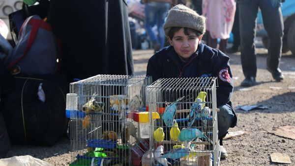 Сирийский мальчик, эвакуированный из Алеппо - Sputnik Việt Nam