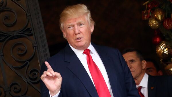 Tổng thống Mỹ mới đắc cử Donald Trump - Sputnik Việt Nam