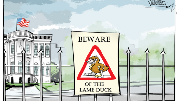 beware of the lame duck - Sputnik Việt Nam
