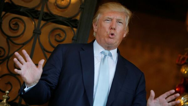 Tổng thống đắc cử Donald Trump - Sputnik Việt Nam