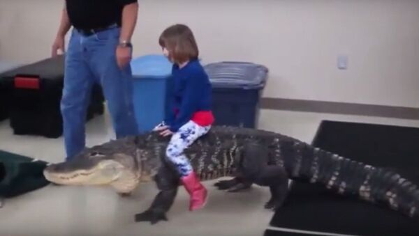 Bé gái 7 tuổi cưỡi cá sấu khổng lồ nặng hơn 90kg - Sputnik Việt Nam