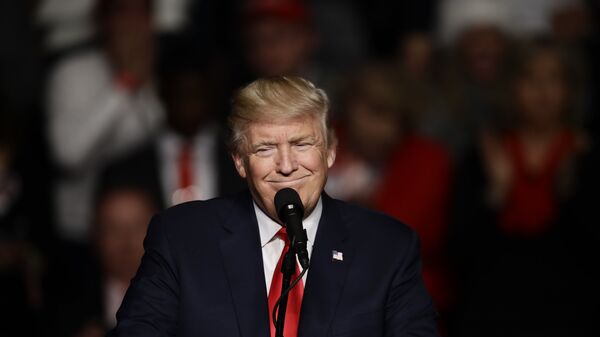 Tổng thống Mỹ đắc cử Donald Trump - Sputnik Việt Nam