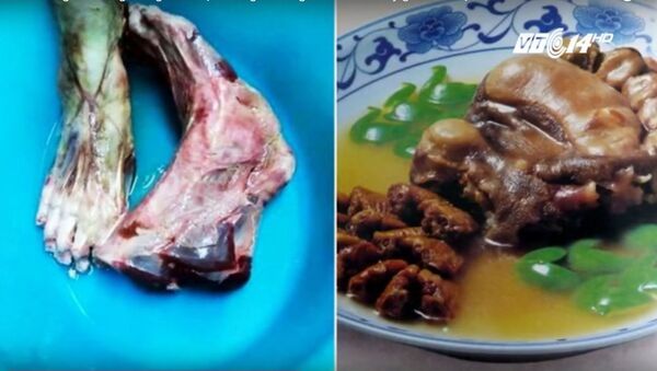 Nhà hàng Trung Quốc ở Italy bị tố dùng chân người nấu món “tay gấu” - Sputnik Việt Nam