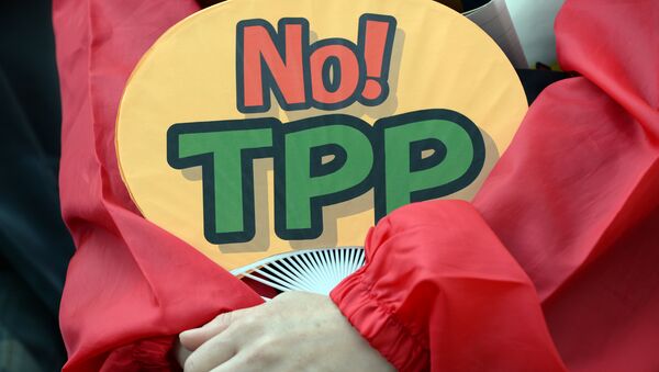 A demonstrator holds a fan with No! TPP in a protest against the Trans Pacific Partnership (TPP) trade deal at a sit-in demonstration in front of the parliament building in Tokyo - Sputnik Việt Nam