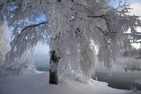 Mùa đông ở xứ sở Siberia - Sputnik Việt Nam