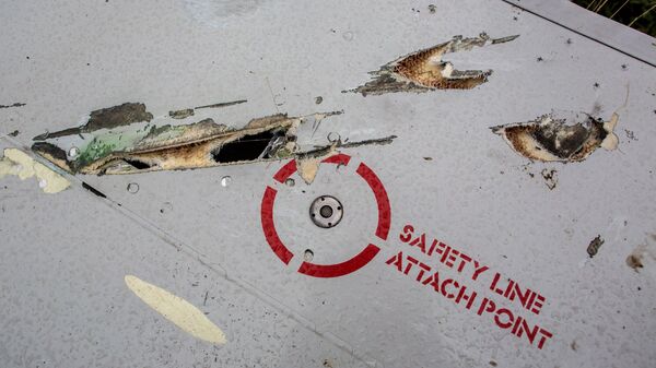 thảm họa MH17 - Sputnik Việt Nam