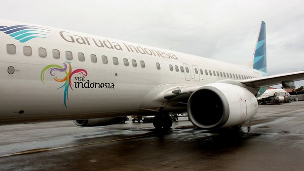 Boeing 737-800NG của hãng hàng không quốc gia Garuda Indonesia - Sputnik Việt Nam