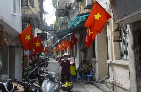 Người phụ nữ bán hàng rong trên đường phố Hà Nội được trang hoàng nhân ngày lễ quốc gia - Sputnik Việt Nam
