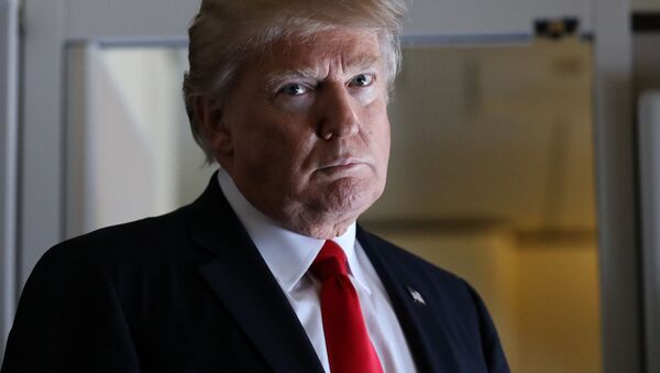 Tổng thống Donald Trump - Sputnik Việt Nam