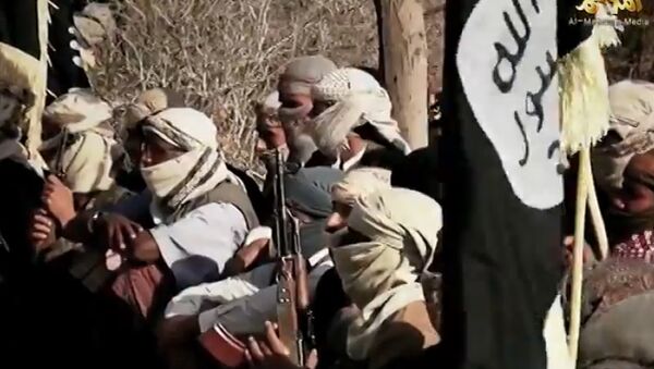 al-Qaeda chi nhánh Yemen - Sputnik Việt Nam