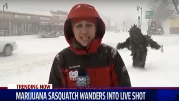 “Người tuyết” tò mò làm hỏng buổi phát sóng trực tiếp trên kênh truyền hình Mỹ - Sputnik Việt Nam