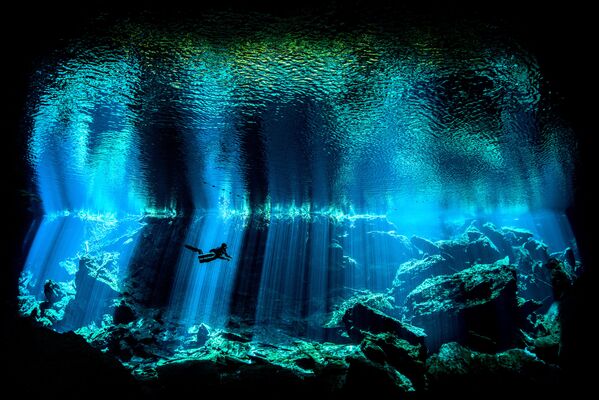 Những người chiến thắng cuộc thi ảnh Underwater Photographer of the Year 2017 - Sputnik Việt Nam