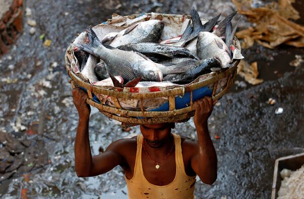 Ấn Độ. Người bán cá ở khu chợ thành phố Kolkata. - Sputnik Việt Nam
