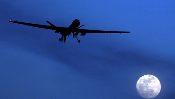 Unmanned U.S. Predator drone. (File) - Sputnik Việt Nam