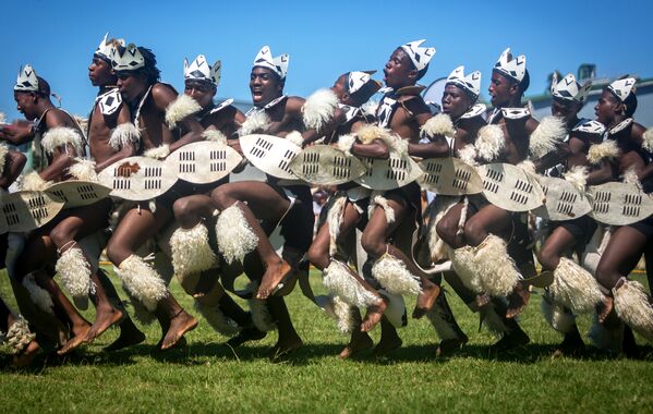 Nam Phi. Các vũ công dân tộc Zulu tại cuộc thi thường niên Ingoma Dance ở Durban. - Sputnik Việt Nam