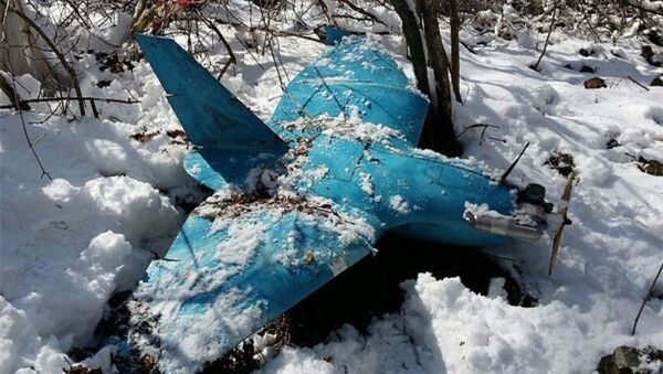 Xác máy bay không người lái rơi trên mọt ngọn núi ở Samcheok, Hàn Quốc, tháng 4/2014. - Sputnik Việt Nam