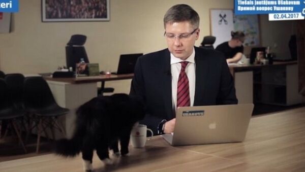 Mèo phá hỏng buổi phát sóng trực tuyến và uống trà của thị trưởng Riga - Sputnik Việt Nam