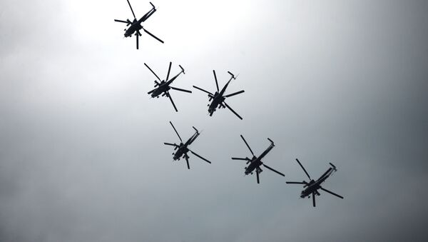 Trên bầu trời  là các phi công Berkut. - Sputnik Việt Nam