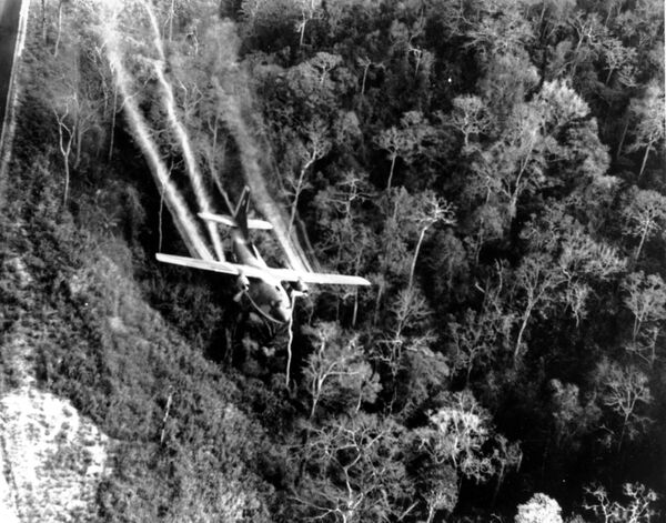 Chiến tranh Việt Nam năm 1966. Quân đội Mỹ sử dụng chất độc da cam. - Sputnik Việt Nam