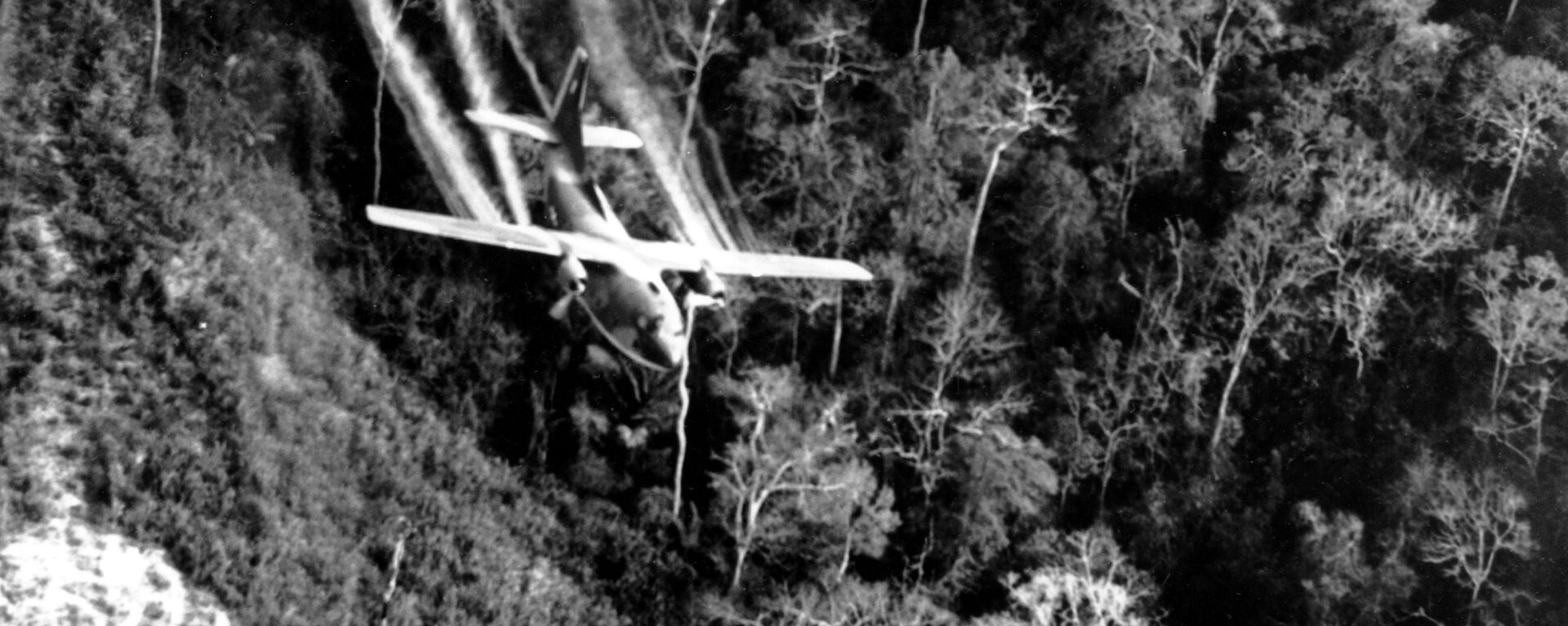 Chiến tranh Việt Nam năm 1966. Quân đội Mỹ sử dụng chất độc da cam  - Sputnik Việt Nam, 1920, 10.09.2019