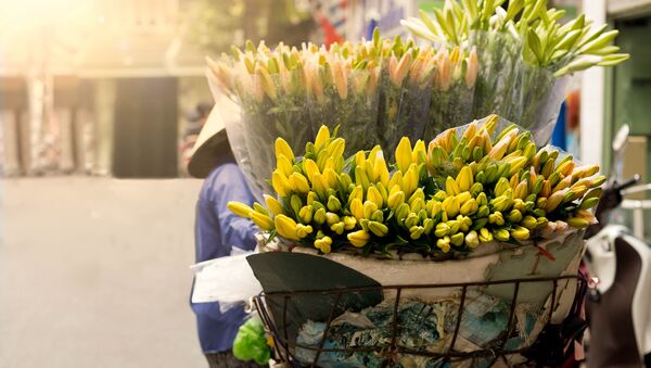 Продавец цветов во Вьетнаме - Sputnik Việt Nam