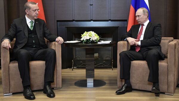 Vladimir Putin và Recep Tayyip Erdogan - Sputnik Việt Nam