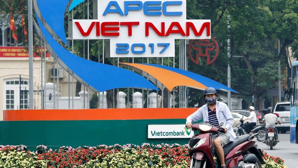 Hội nghị thượng đỉnh APEC sẽ được tổ chức tại Việt Nam vào tháng 11 - Sputnik Việt Nam